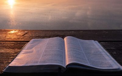 Die Bedeutung der Bibel bis heute – Schöpfungsfrage, Geschichte und Politik I