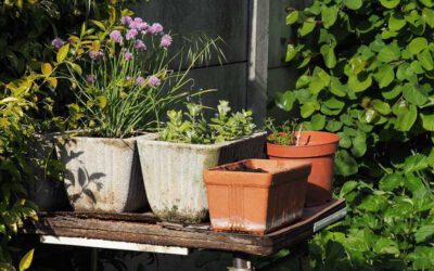 Hildegard von Bingen