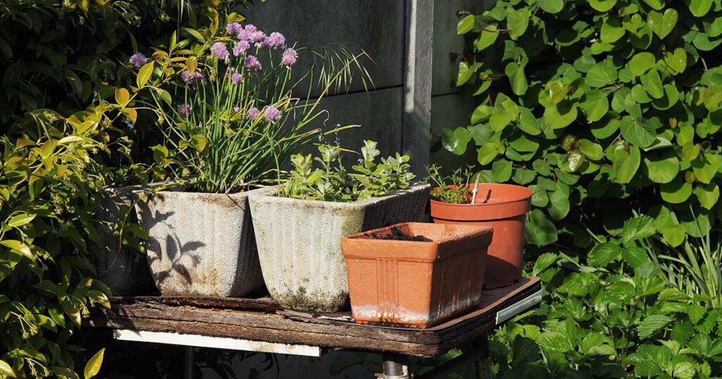 Hildegard von Bingen