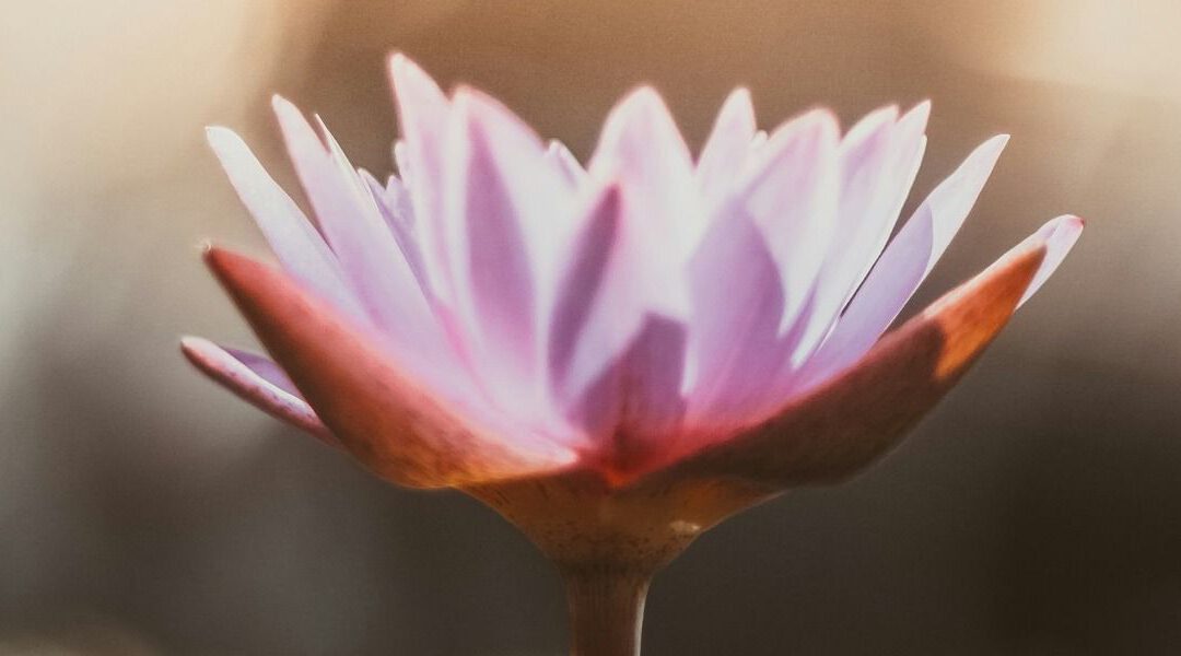 Hatha Yoga und Yin Yoga