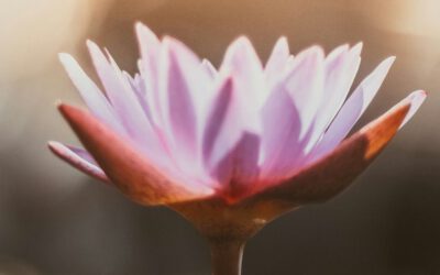 Hatha Yoga und Yin Yoga